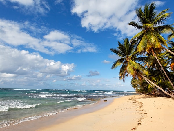 Fintech Harbor Consulting | Gaming License